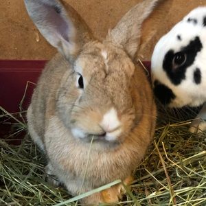 Meet your Posher, Marie